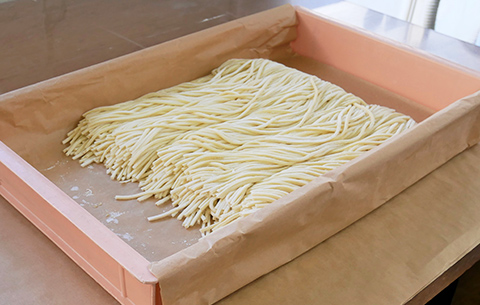 生うどん